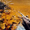 King Country Stream 1979